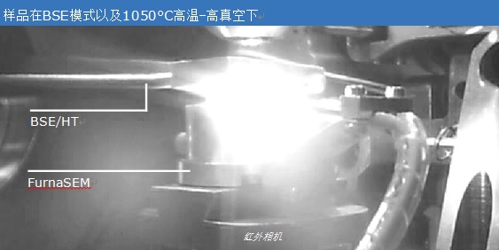 &#21338;&#40060;&#32593;&#39029;&#29256;&#30331;&#20837;&#30028;&#38754;&#45;&#21338;&#40060;&#40;&#20013;&#22269;&#41;